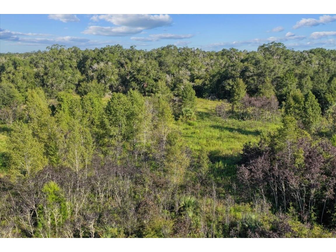 NE Hwy 27th Bronson FL 32621 TB8423351 image18