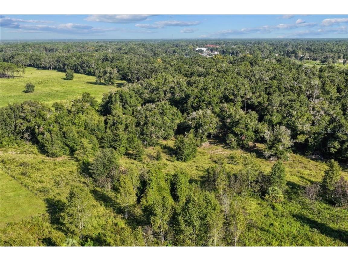 NE Hwy 27th Bronson FL 32621 TB8423351 image19