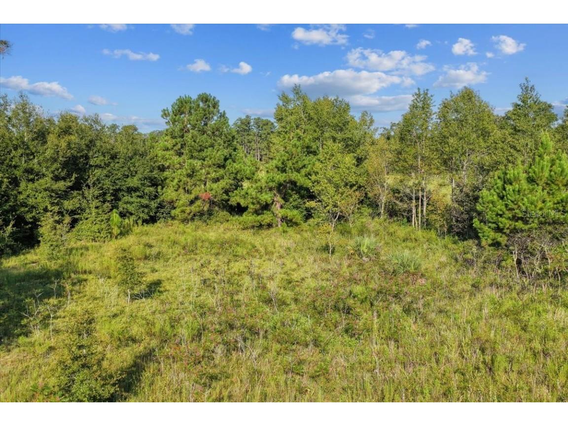 NE Hwy 27th Bronson FL 32621 TB8423351 image20