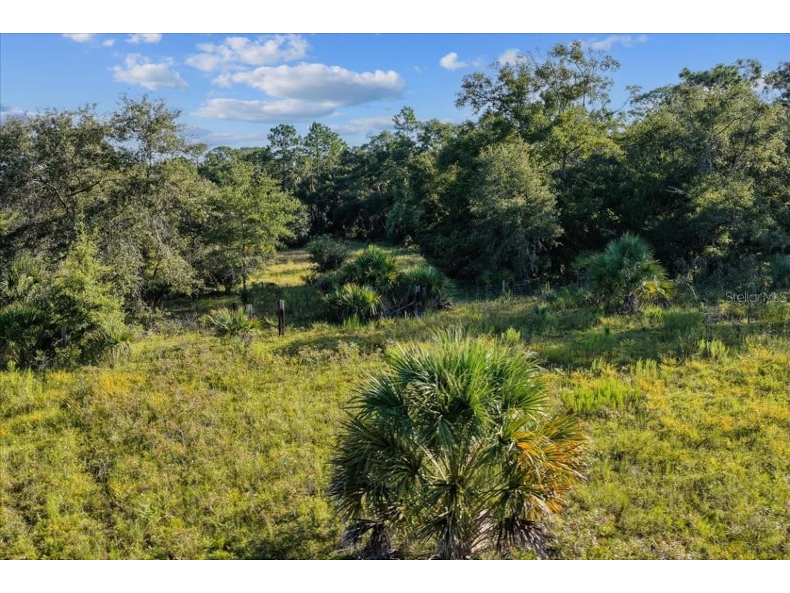 NE Hwy 27th Bronson FL 32621 TB8423351 image21