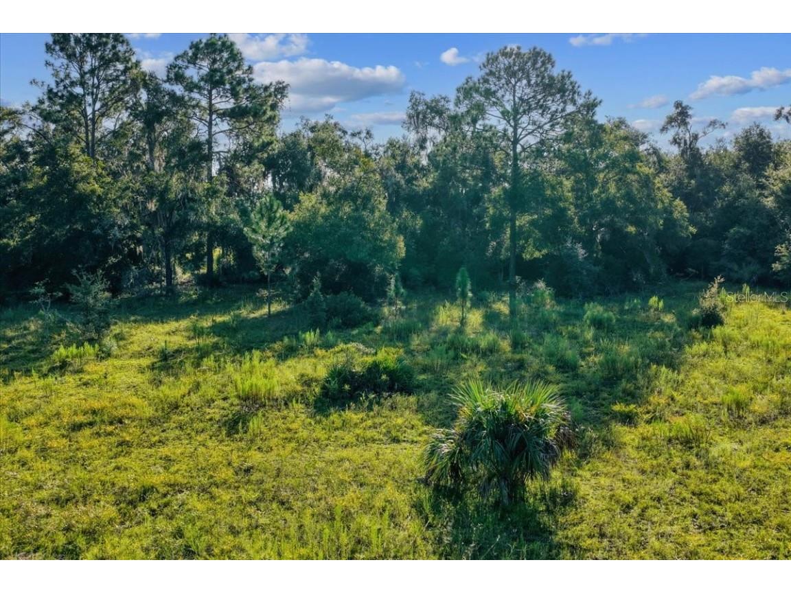 NE Hwy 27th Bronson FL 32621 TB8423351 image22