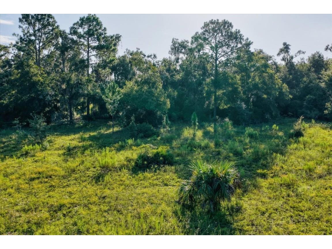 NE Hwy 27th Bronson FL 32621 TB8423351 image23