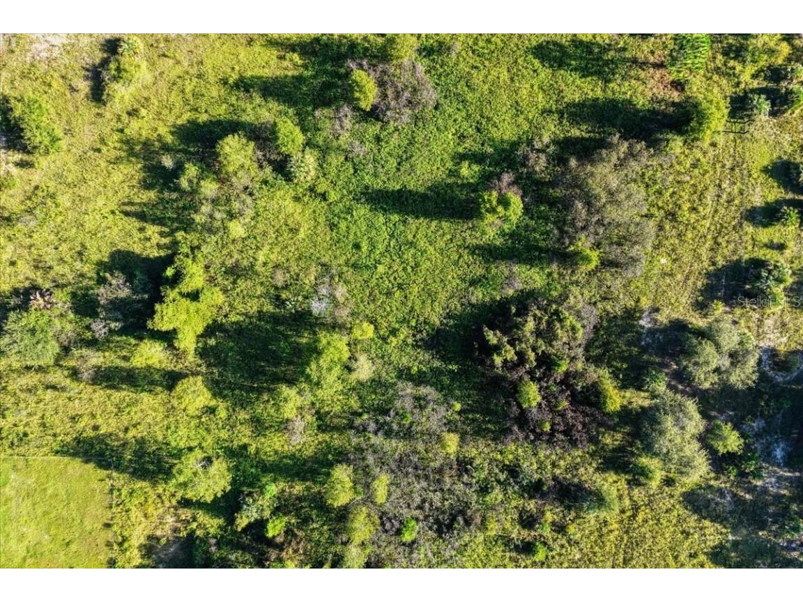 NE Hwy 27th Bronson FL 32621 TB8423351 image27