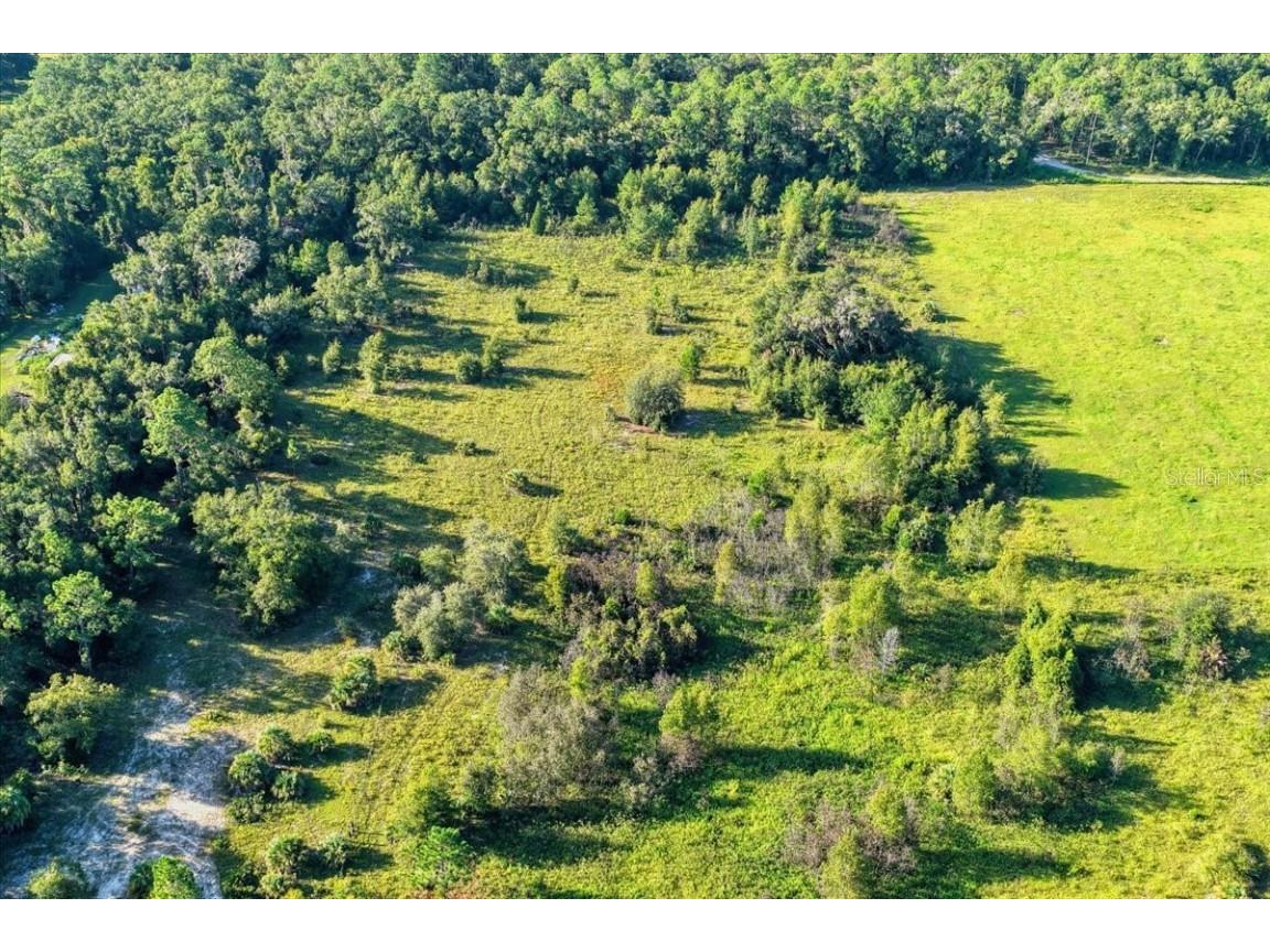 NE Hwy 27th Bronson FL 32621 TB8423351 image7