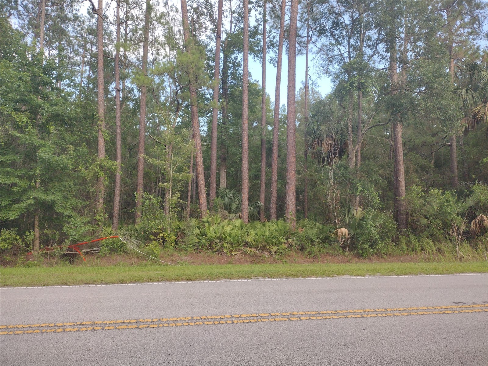 NE Hwy 314 Highway NE Silver Springs FL 34488 OM727320 image1