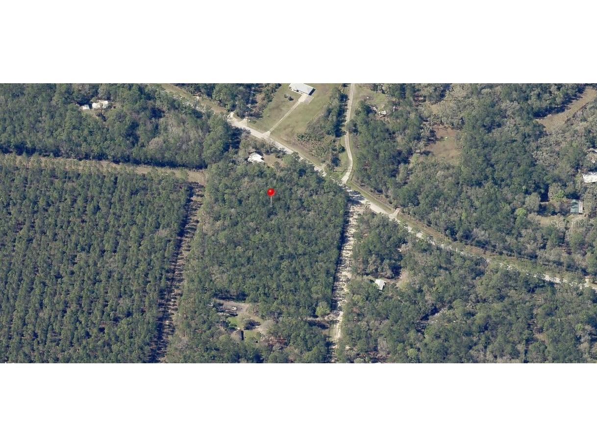 NE Hwy 314 Highway NE Silver Springs FL 34488 OM727320 image10