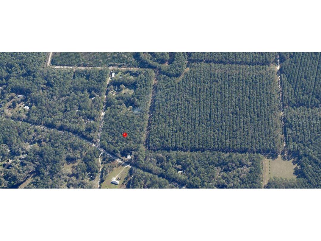 NE Hwy 314 Highway NE Silver Springs FL 34488 OM727320 image11