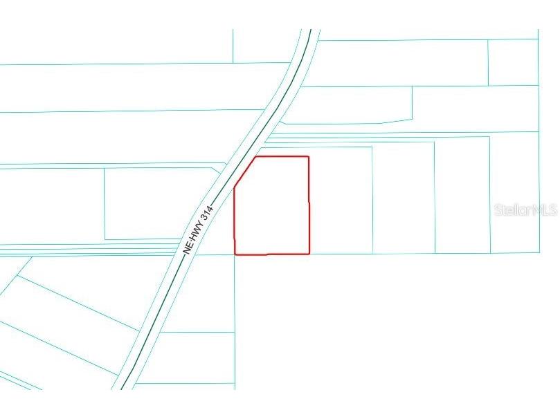 NE Hwy 314 Highway NE Silver Springs FL 34488 OM727320 image12