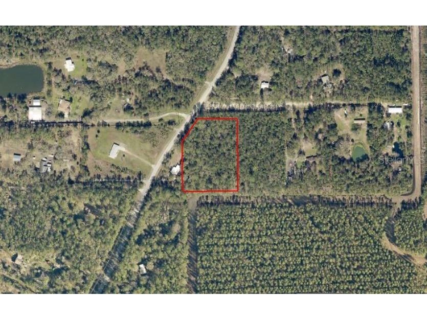 NE Hwy 314 Highway NE Silver Springs FL 34488 OM727320 image3