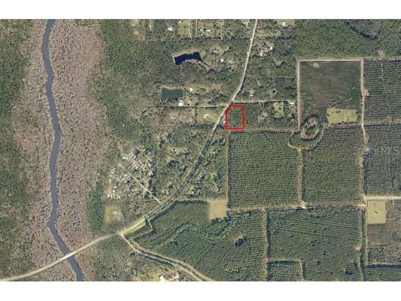 NE Hwy 314 Highway NE Silver Springs FL 34488 OM727320 image4