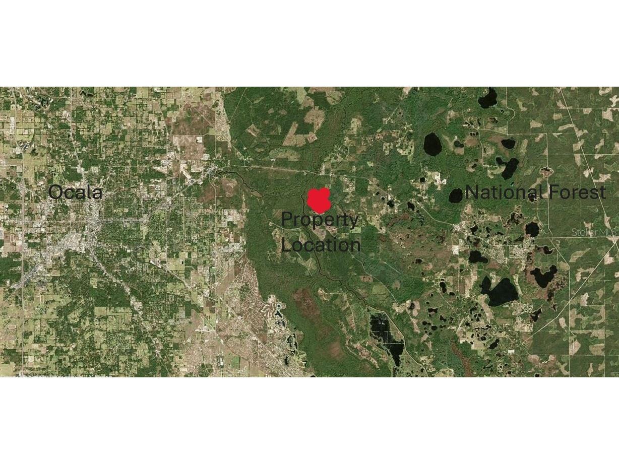 NE Hwy 314 Highway NE Silver Springs FL 34488 OM727320 image5