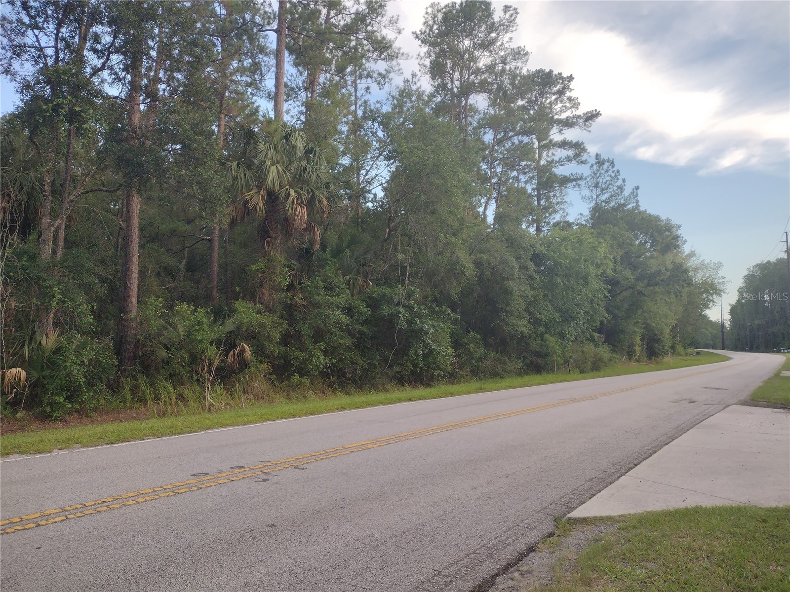 NE Hwy 314 Highway NE Silver Springs FL 34488 OM727320 image6