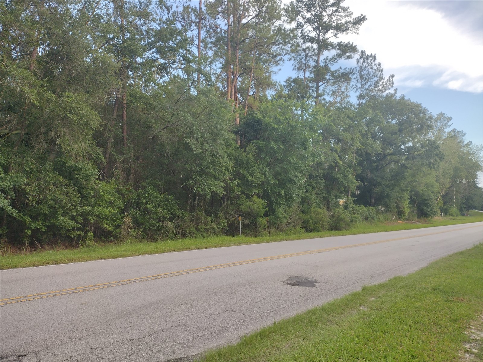 NE Hwy 314 Highway NE Silver Springs FL 34488 OM727320 image7