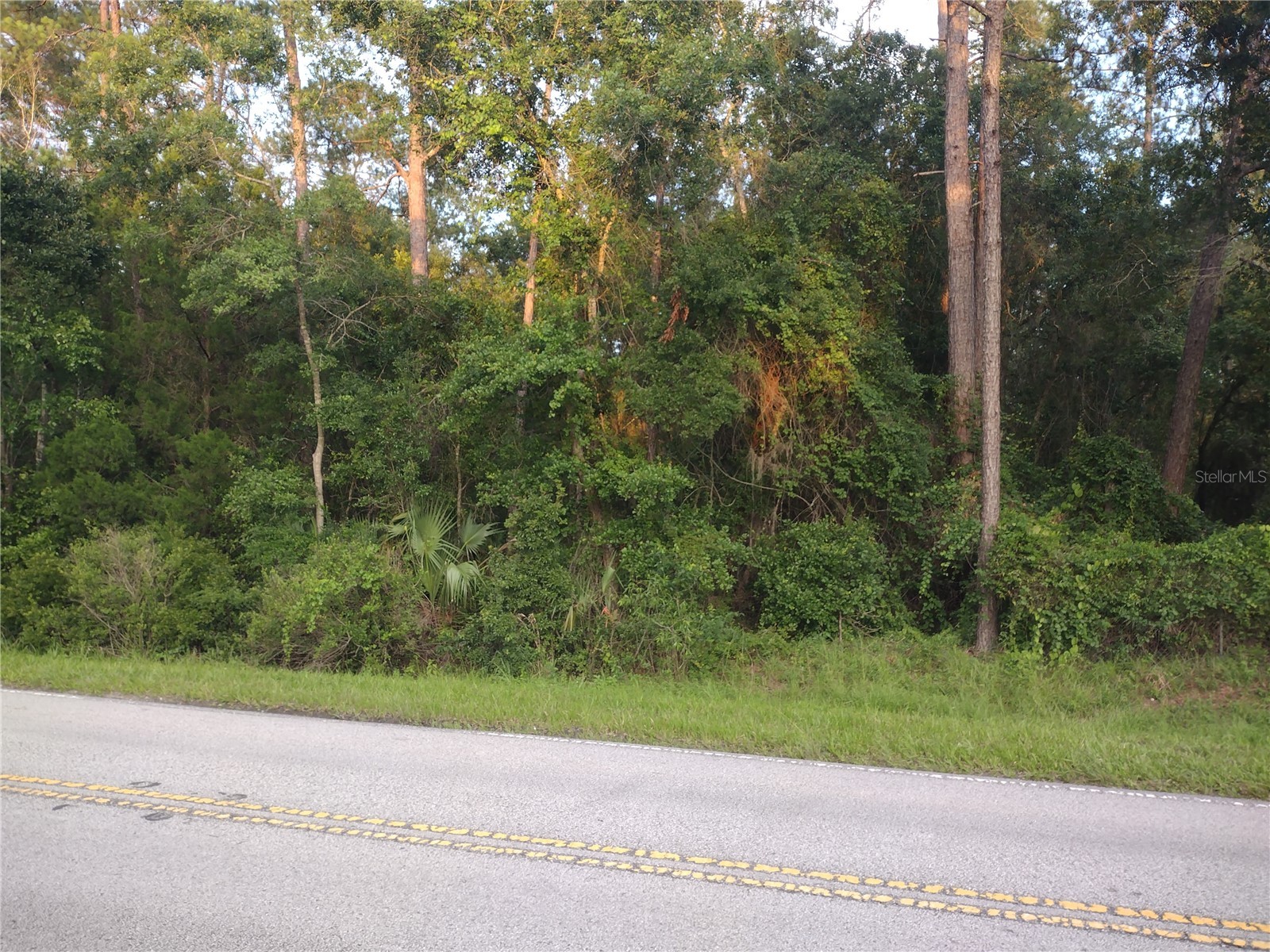 NE Hwy 314 Highway NE Silver Springs FL 34488 OM727320 image8
