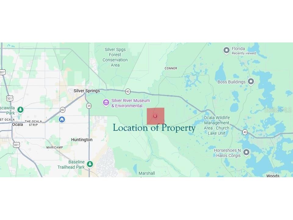 NE Hwy 314 Highway NE Silver Springs FL 34488 OM727342 image10