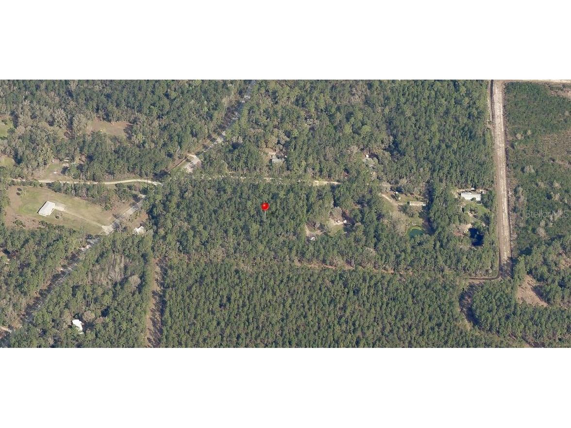 NE Hwy 314 Highway NE Silver Springs FL 34488 OM727342 image3