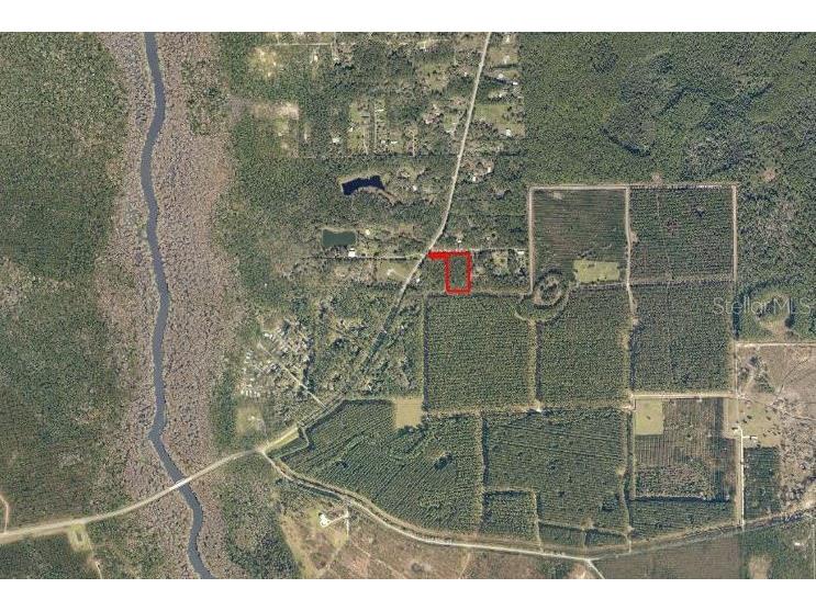 NE Hwy 314 Highway NE Silver Springs FL 34488 OM727342 image4