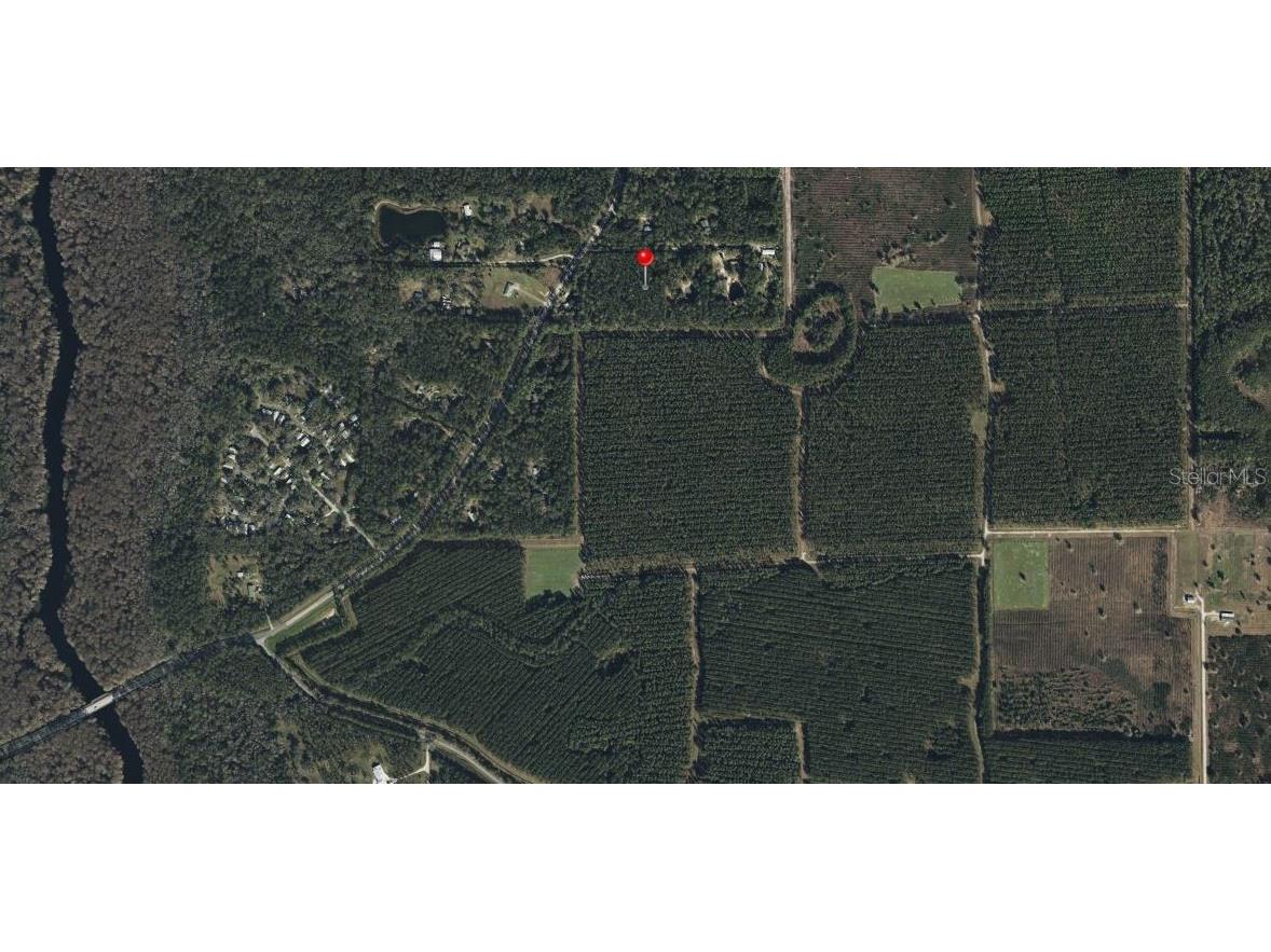 NE Hwy 314 Highway NE Silver Springs FL 34488 OM727342 image7
