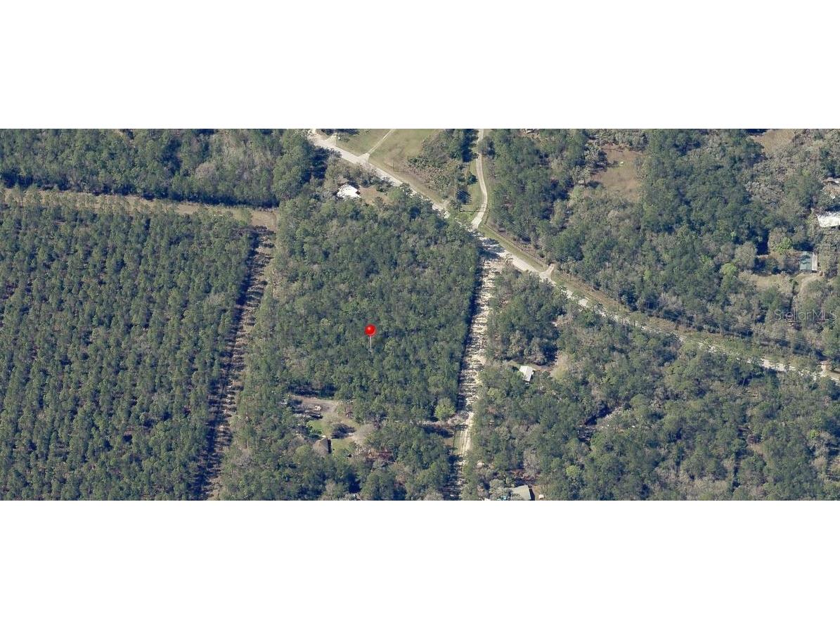 NE Hwy 314 Highway NE Silver Springs FL 34488 OM727342 image8
