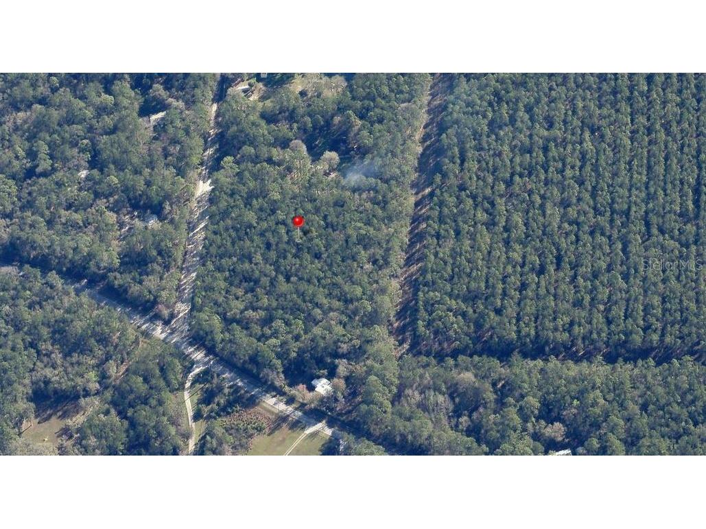 NE Hwy 314 Highway NE Silver Springs FL 34488 OM727342 image9