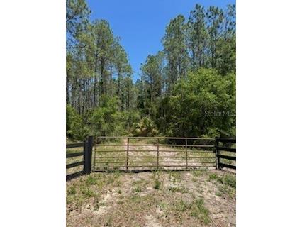 Ne Hwy 353 Old Town FL 32680 TB8513415 image1