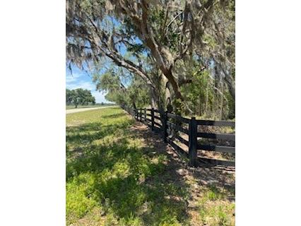 Ne Hwy 353 Old Town FL 32680 TB8513415 image2