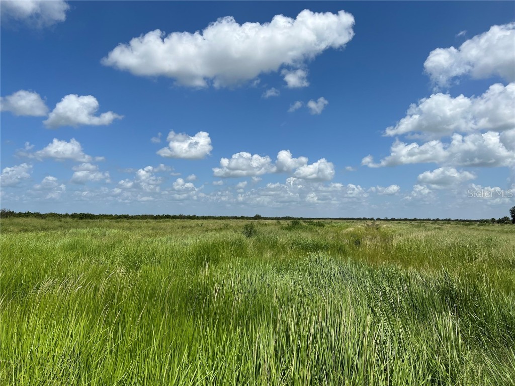 NE Hwy 70 Arcadia FL 34266 A4542870 image1