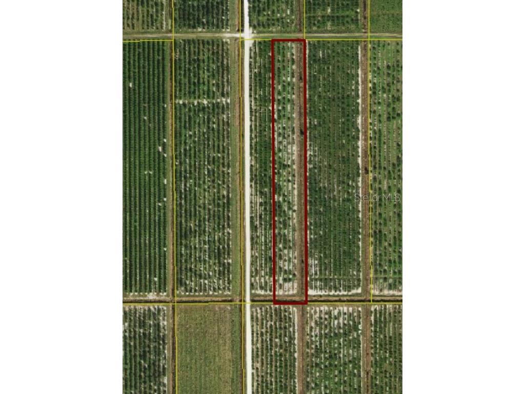 NE Hwy 70 Arcadia FL 34266 A4590920 image1