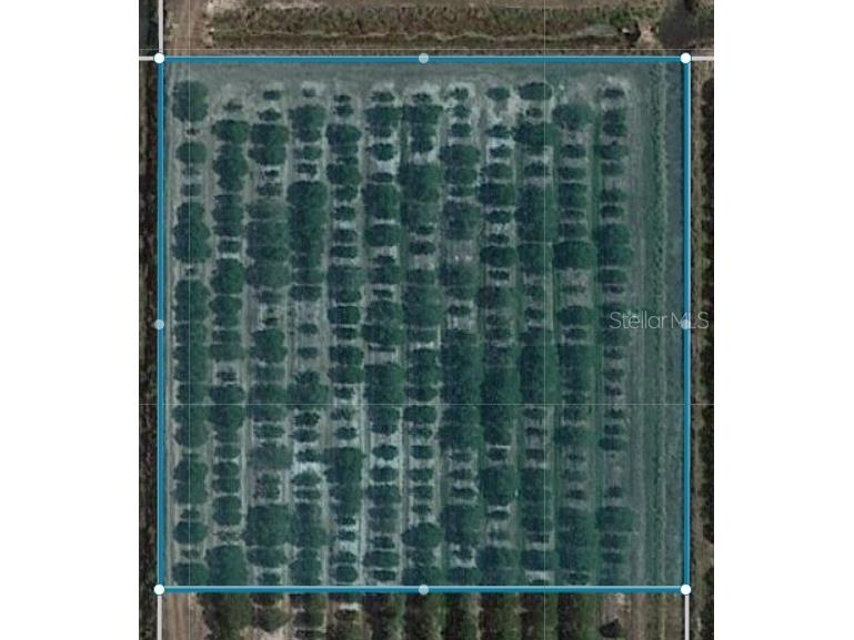 NE Hwy 70 Arcadia FL 34266 A4595605 image1
