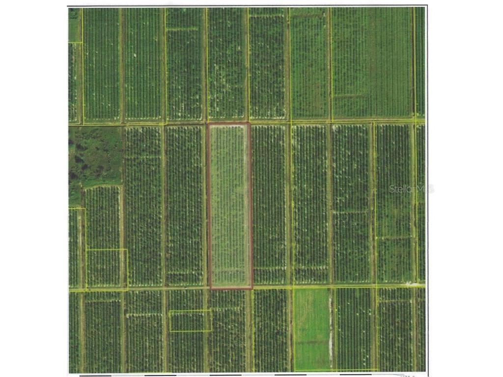 NE Hwy 70 Arcadia FL 34266 C7484644 image1