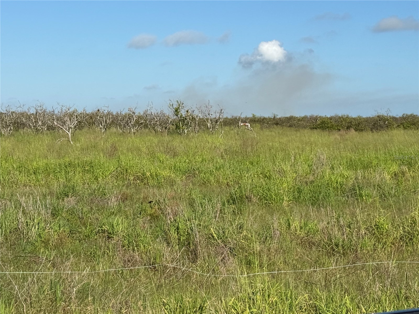 Ne Hwy 70 Arcadia FL 34266 A4700018 image6