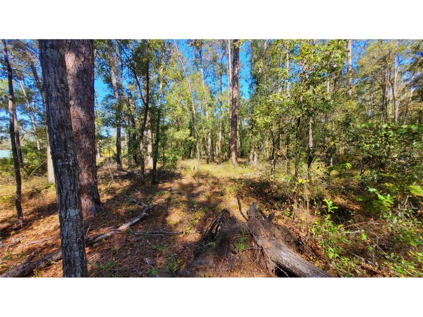 NE Nixon Way Madison FL 32340 A4674040 image10