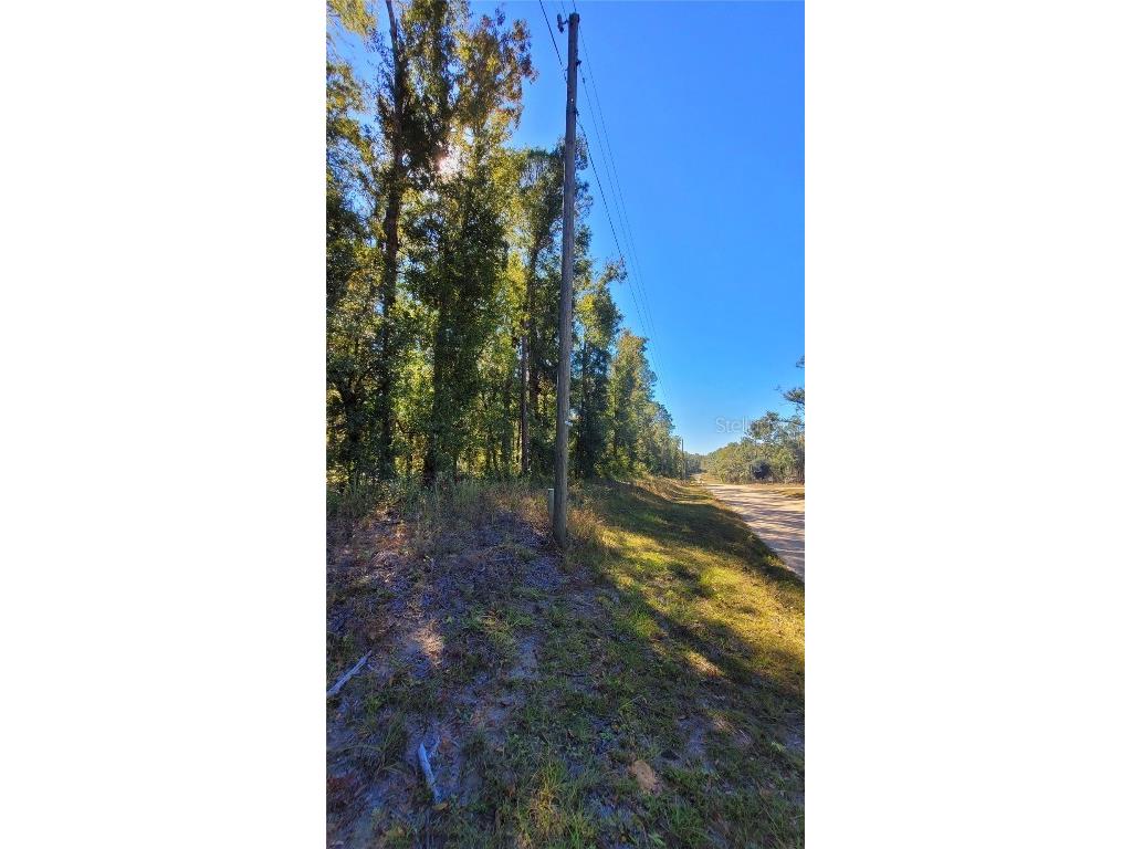 NE Nixon Way Madison FL 32340 A4674040 image15