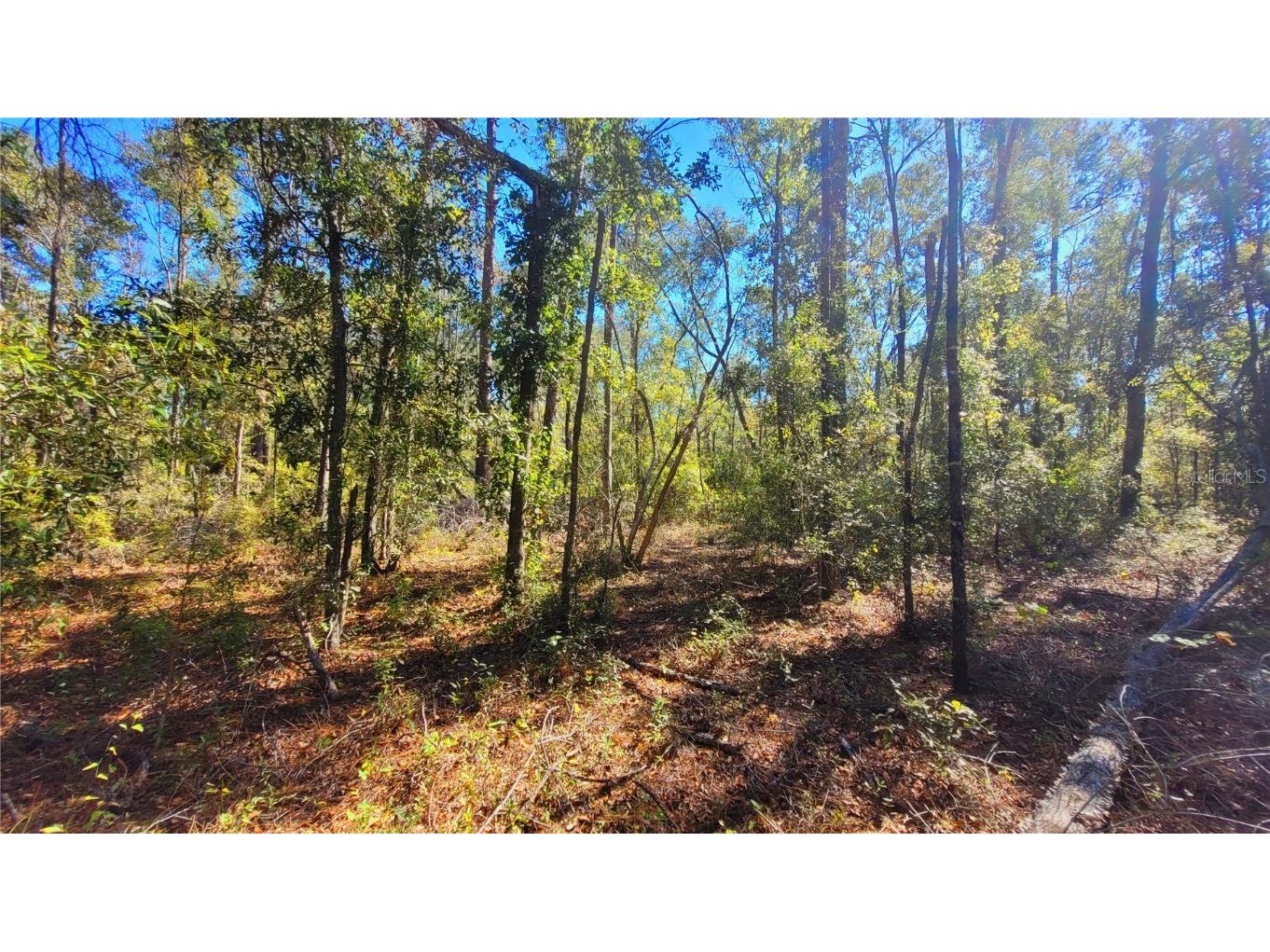 NE Nixon Way Madison FL 32340 A4674040 image8