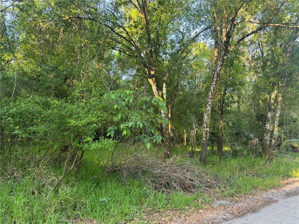 NE River Mill Drive Arcadia FL 34266 - PEACE RIVER C7508197 image1