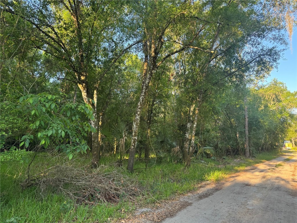 NE River Mill Drive Arcadia FL 34266 - PEACE RIVER C7508197 image2