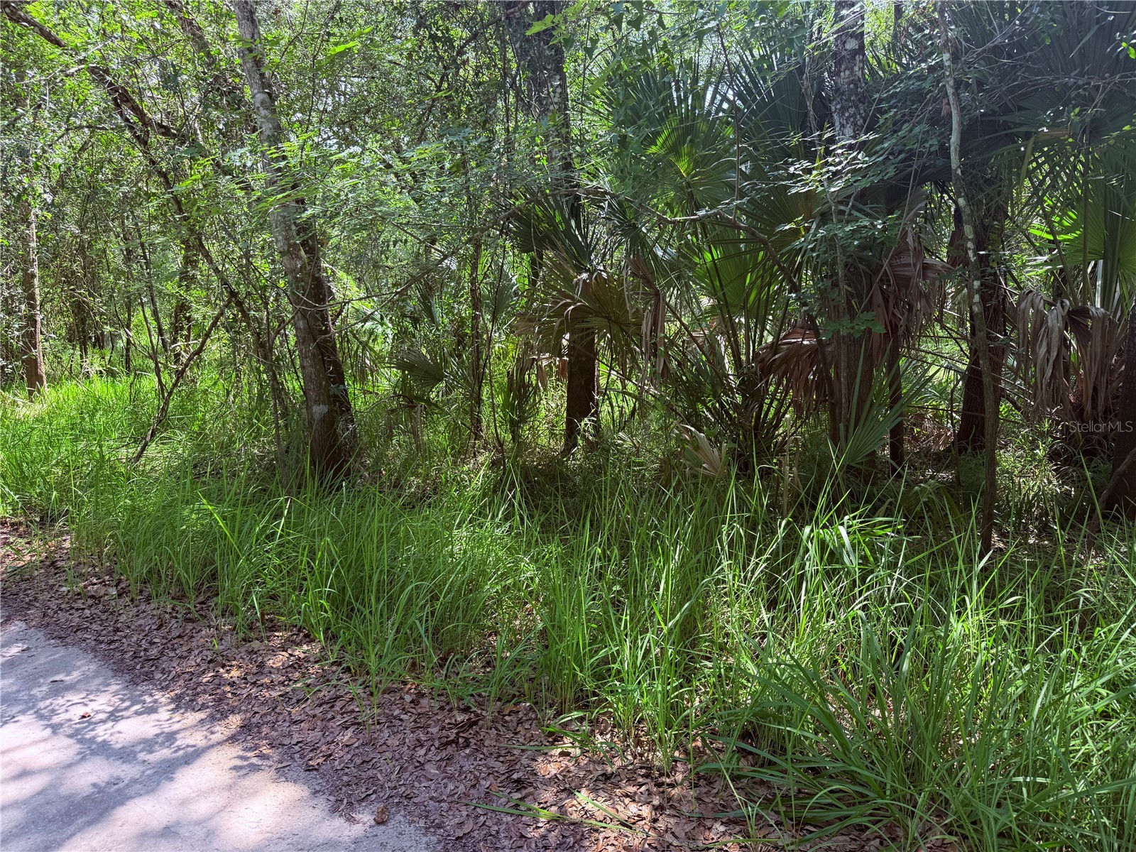 Ne River Ridge Avenue Arcadia FL 34266 - PEACE RIVER C7528101 image2