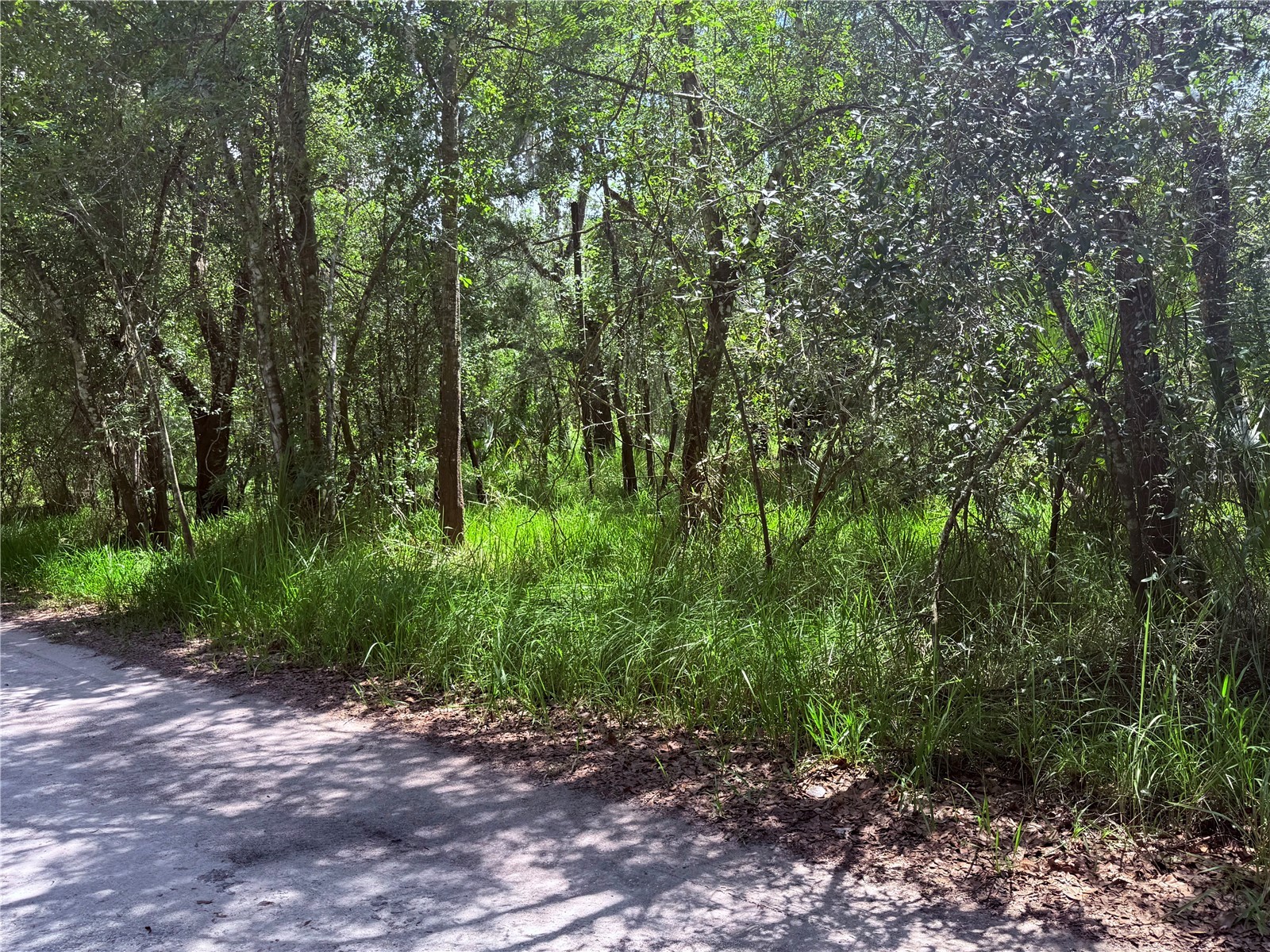 Ne River Ridge Avenue Arcadia FL 34266 - PEACE RIVER C7528101 image3
