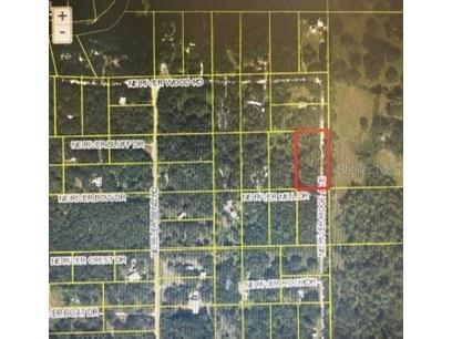 Ne River Ridge Avenue Arcadia FL 34266 - PEACE RIVER C7528101 image4