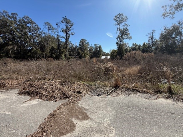 Ne Seventeenth Avenue Trenton FL 32693 S5144815 image1