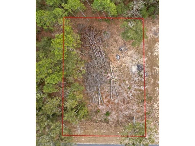 Ne State Road 121 Williston FL 32696 GC531867 image1