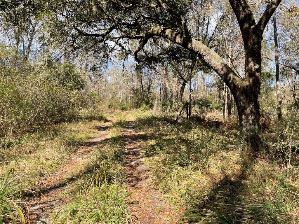 NE Waldo Sr 24 Road Gainesville FL 32609 O6085368 image1