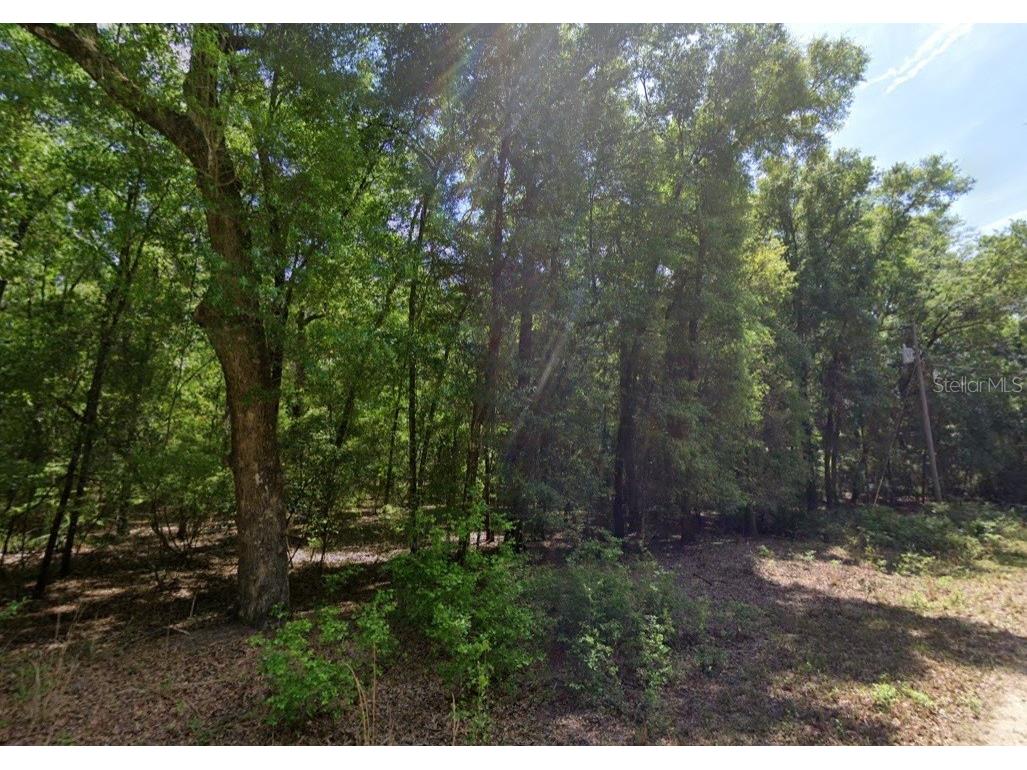 Ne Willow Bend Terrace Lee FL 32059 TB8520167 image1