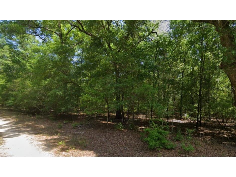 Ne Willow Bend Terrace Lee FL 32059 TB8520167 image2
