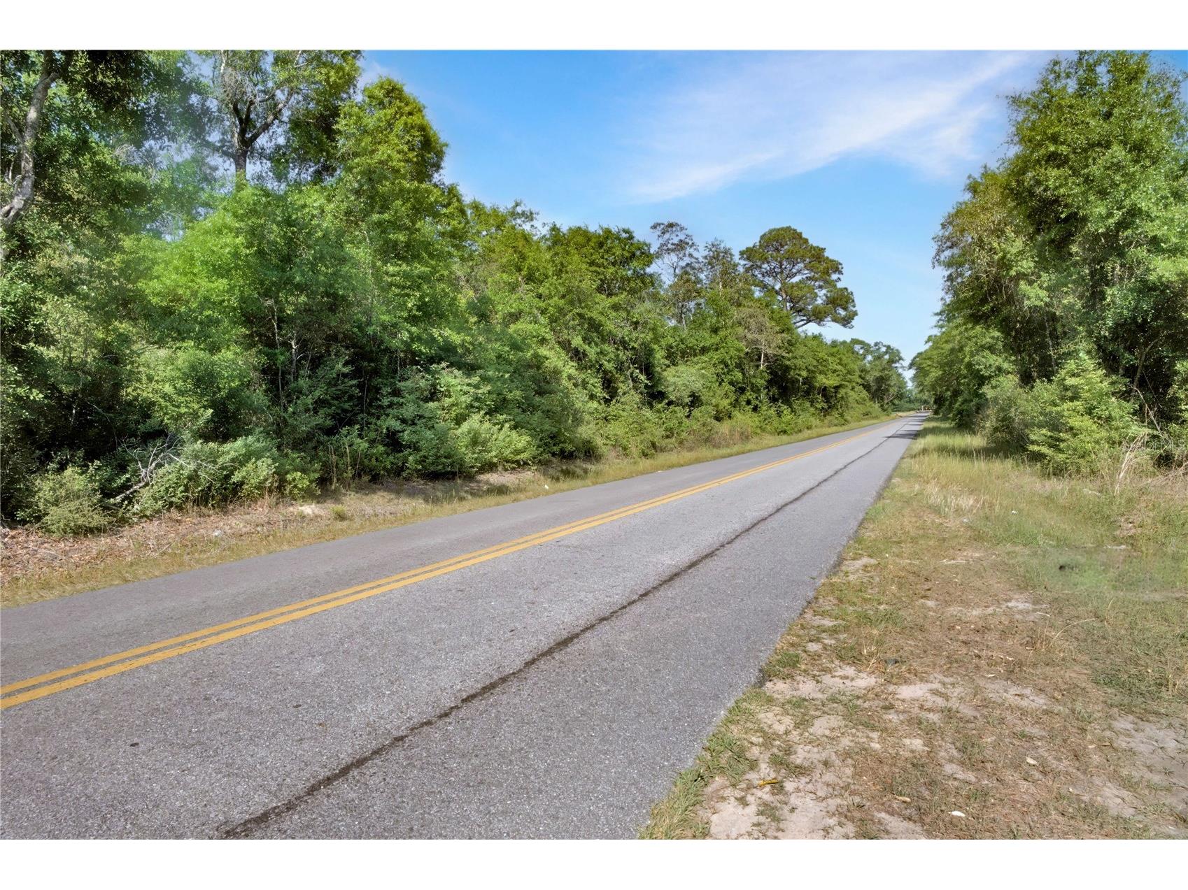 Neal Kennington/Hwy 87 N Milton FL 32570 TB8501298 image10