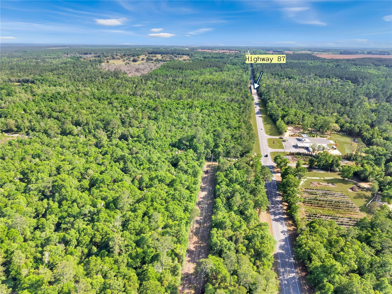 Neal Kennington/Hwy 87 N Milton FL 32570 TB8501298 image4