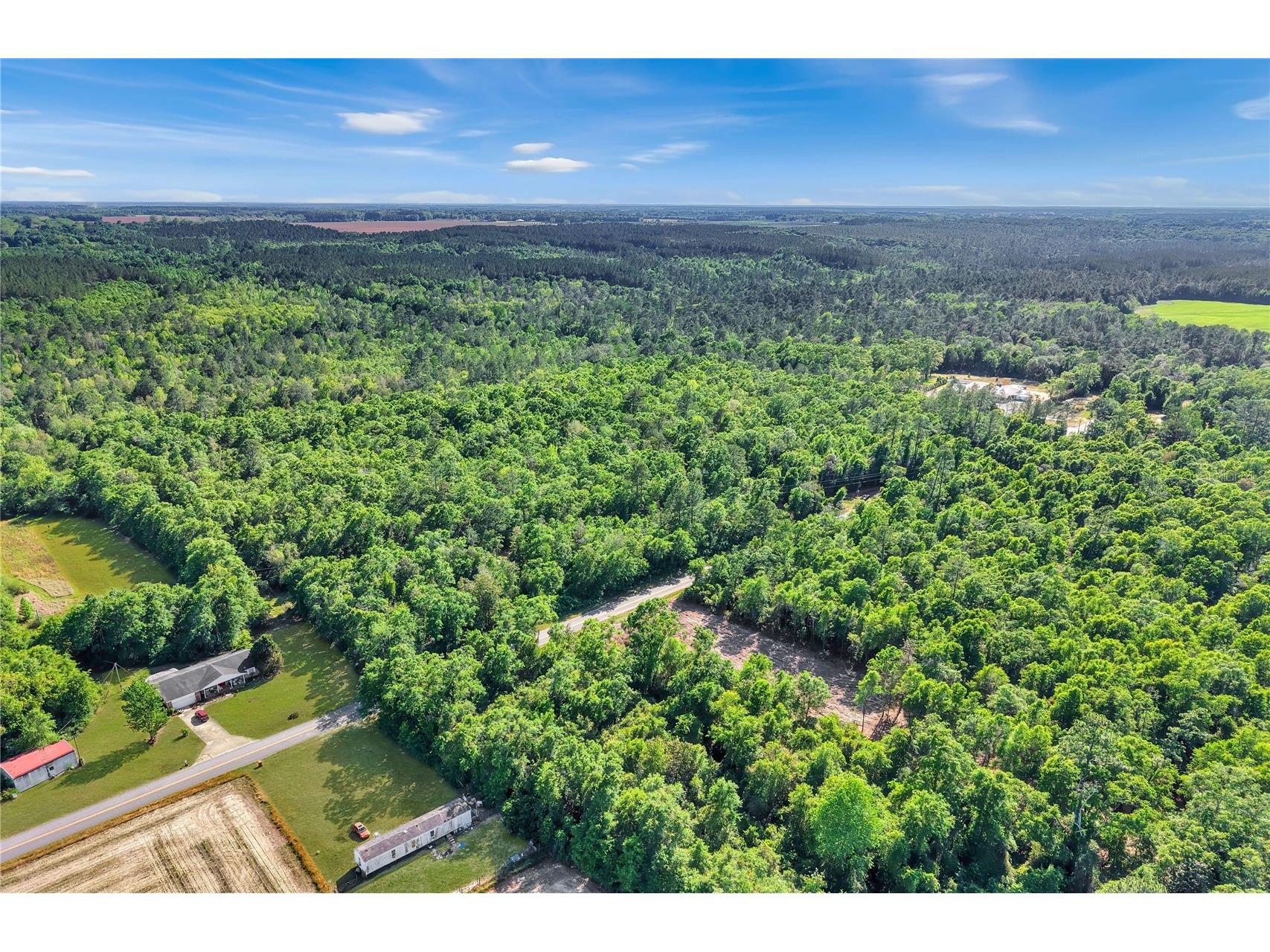 Neal Kennington/Hwy 87 N Milton FL 32570 TB8501298 image6