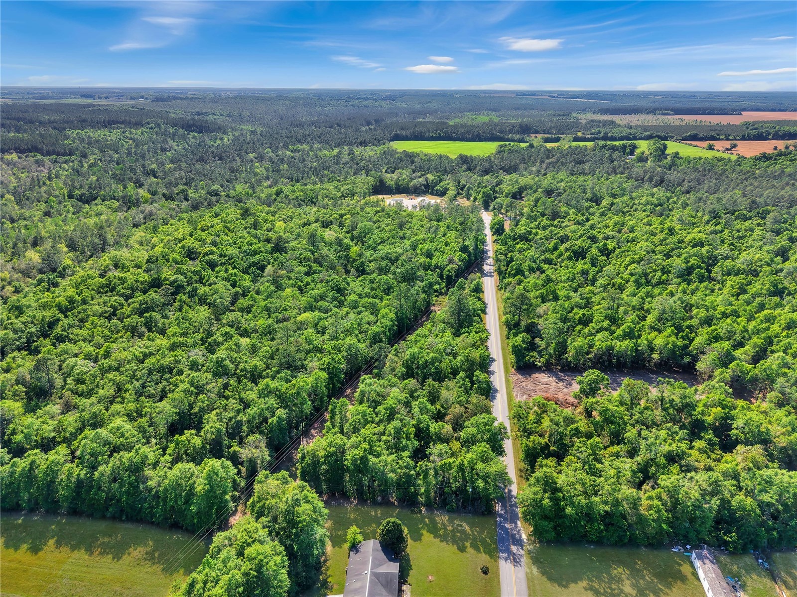 Neal Kennington/Hwy 87 N Milton FL 32570 TB8501298 image7