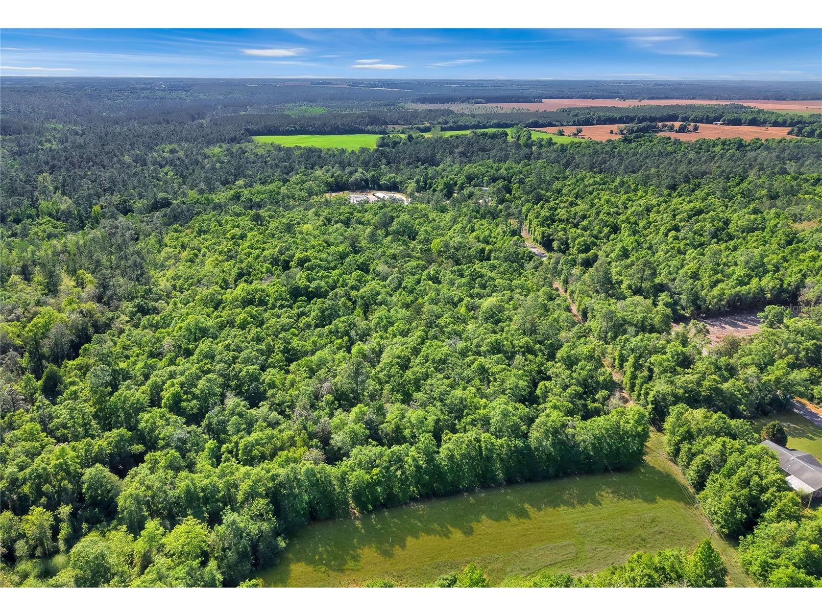 Neal Kennington/Hwy 87 N Milton FL 32570 TB8501298 image9