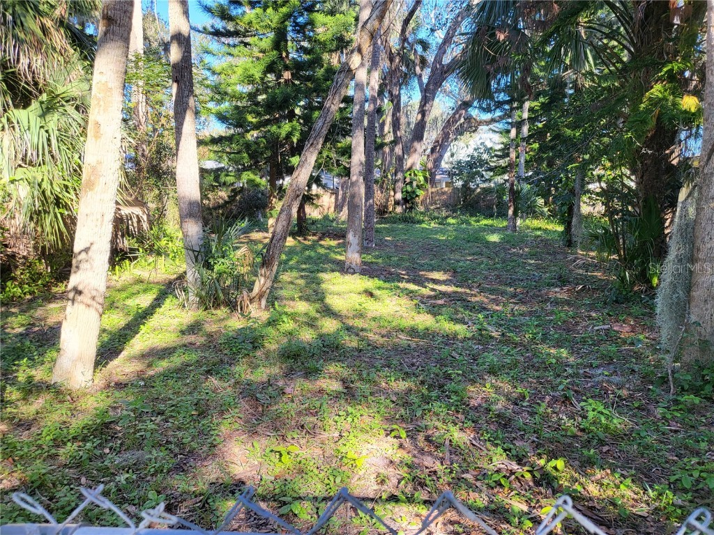 Neal Street New Smyrna Beach FL 32168 A4562266 image1